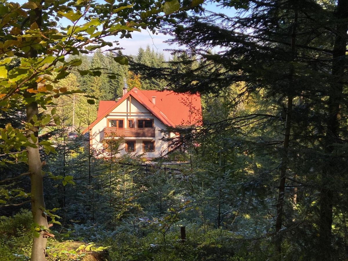 Agroturystyka Sarni Stok Krynica-Zdrój Exterior foto