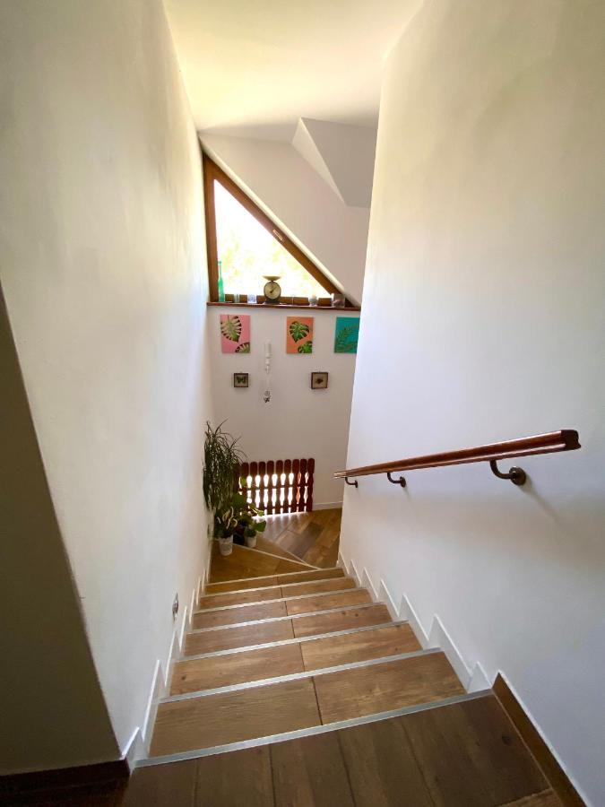 Agroturystyka Sarni Stok Krynica-Zdrój Exterior foto